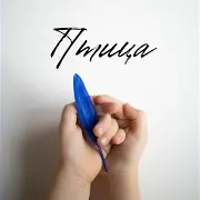 Птица Ft Ася Злаказова